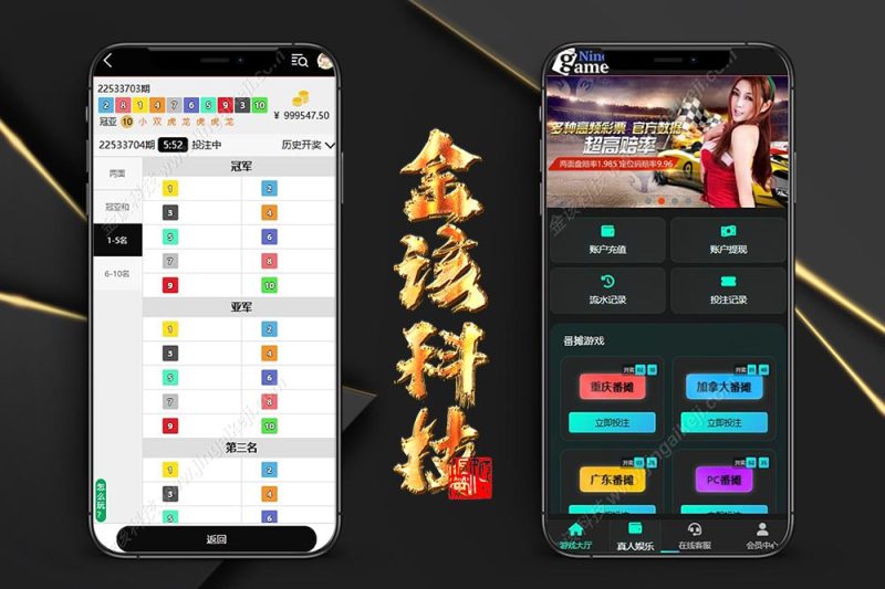 ninegame九游娱乐综合盘源码/加拿大28彩票源码/带番摊玩法/BC系统彩可控+后台框架UI重构后台可控-金该源码网