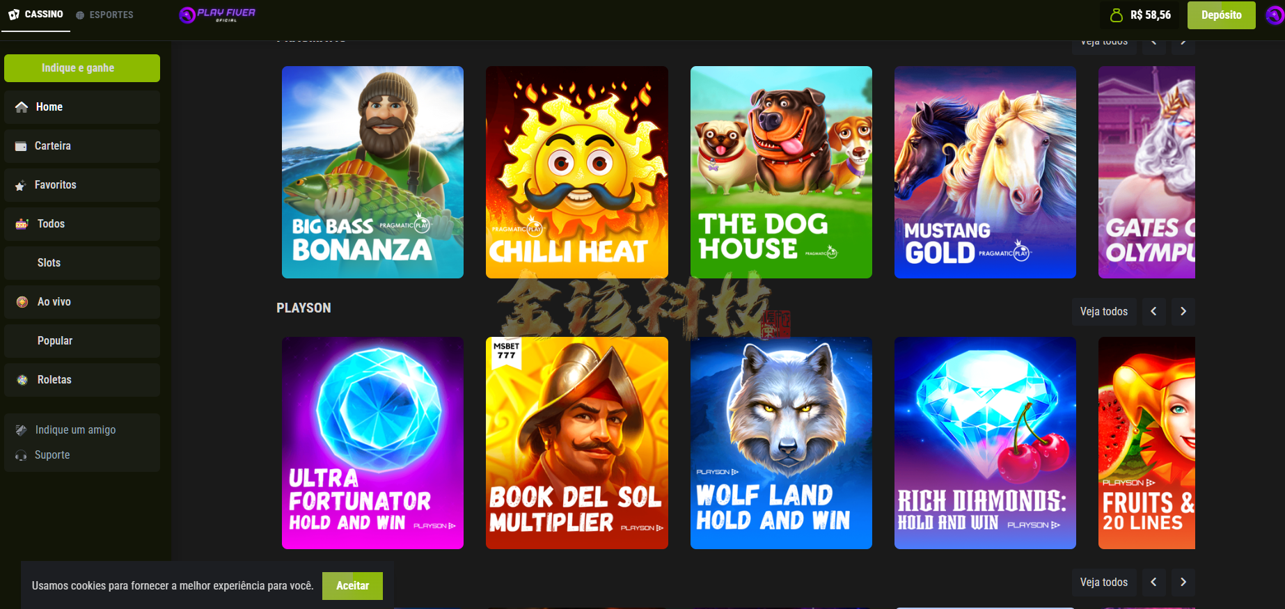 图片[9]-葡萄牙语PG电子源码/PG电子源码/海外电子源码/巴西PG电子游戏源码/海外接口-金该源码网