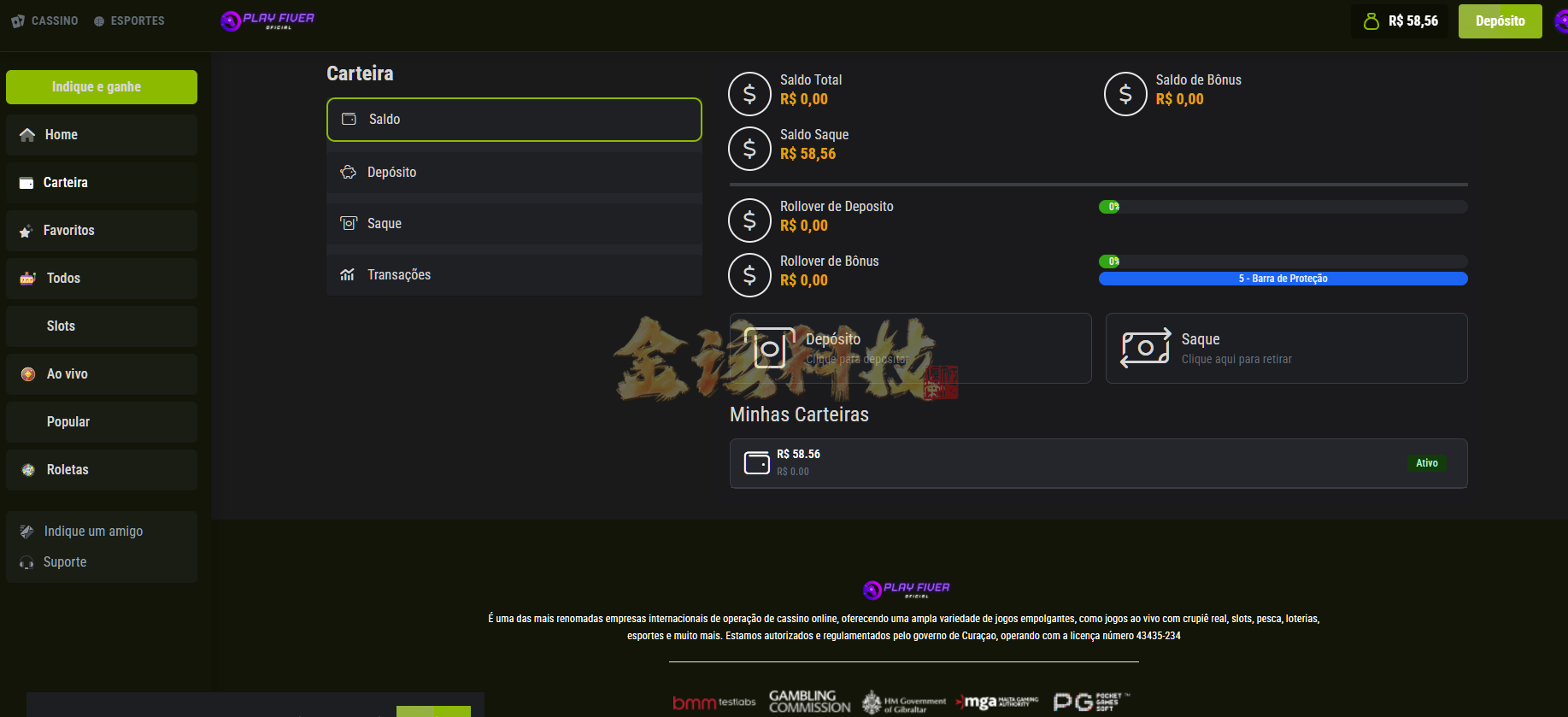 图片[11]-葡萄牙语PG电子源码/PG电子源码/海外电子源码/巴西PG电子游戏源码/海外接口-金该源码网
