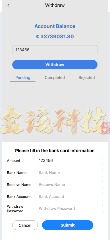 图片[6]-海外多语言app优化刷单源码/全新U抢单刷单系统vue/抢单系统源码/订单自动匹配系统/打针功能/连单卡单/海外源码-金该源码网